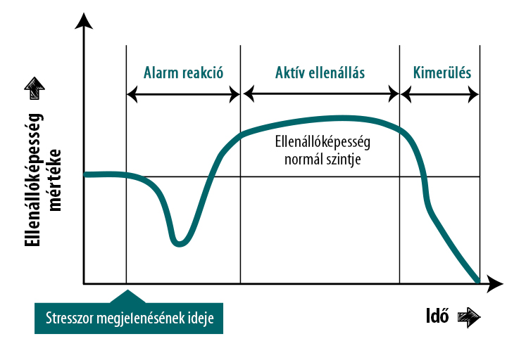 Mit nevezünk stressznek, és milyen fajtái vannak?